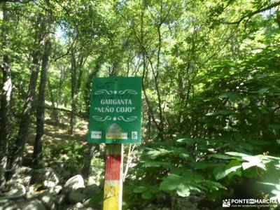 Garganta de la Cereceda - Piscinas de Piedralaves; puente diciembre viajes rutas de senderismo en gu